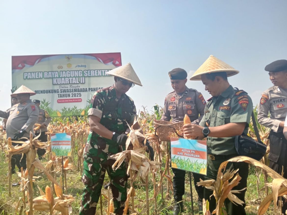 Dandim 0819 Pasuruan Hadiri Panen Raya Jagung Serentak, Dukung Swasembada Pangan Nasional