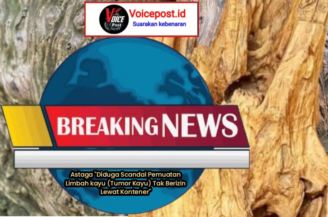 Astaga “Diduga Scandal Pemuatan Limbah kayu (Tumor Kayu) Tak Berizin Lewat Kontener”