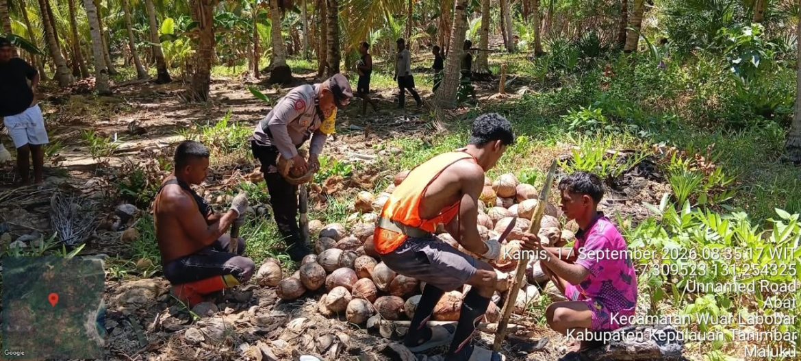 Dekat dengan Warga, Bhabinkamtibmas Desa Romnus Bantu Petani Olah Kelapa Jadi Kopra