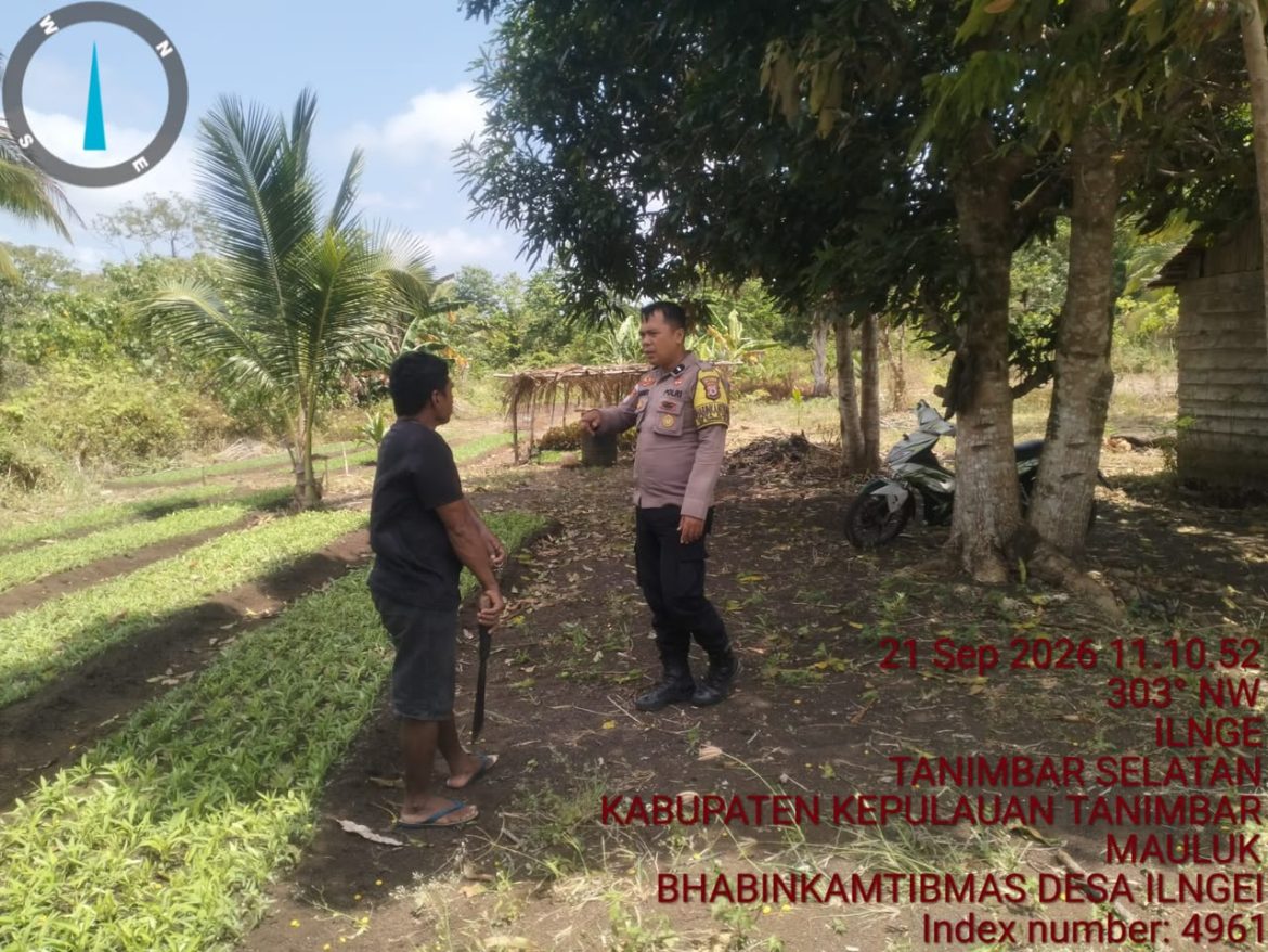 Sambangi Petani di Kebun, Bhabinkamtibmas Desa Ilngei Dukung Ketahanan Pangan dan Cegah Karhutla