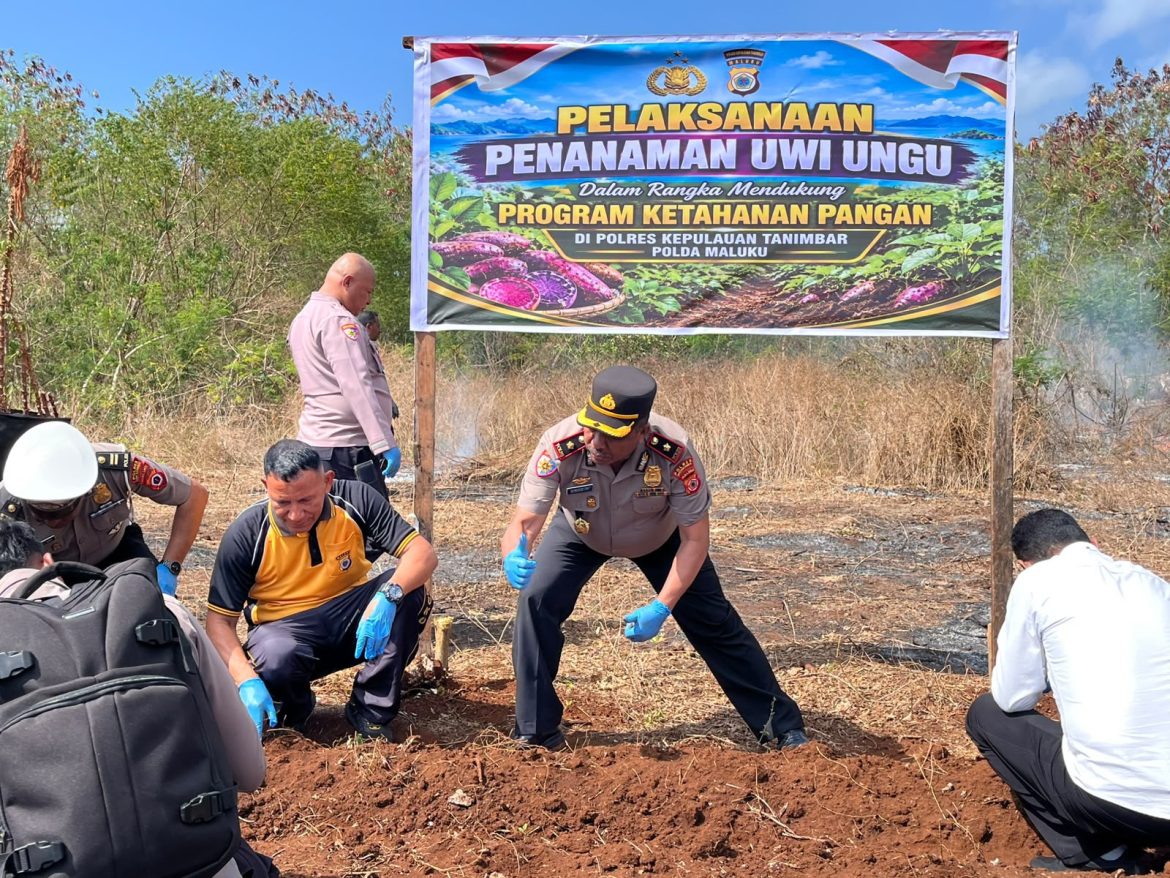 Dukung Ketahanan Pangan Nasional, Polres Tanimbar Manfaatkan Lahan Produktif Tanam Uwi Ungu