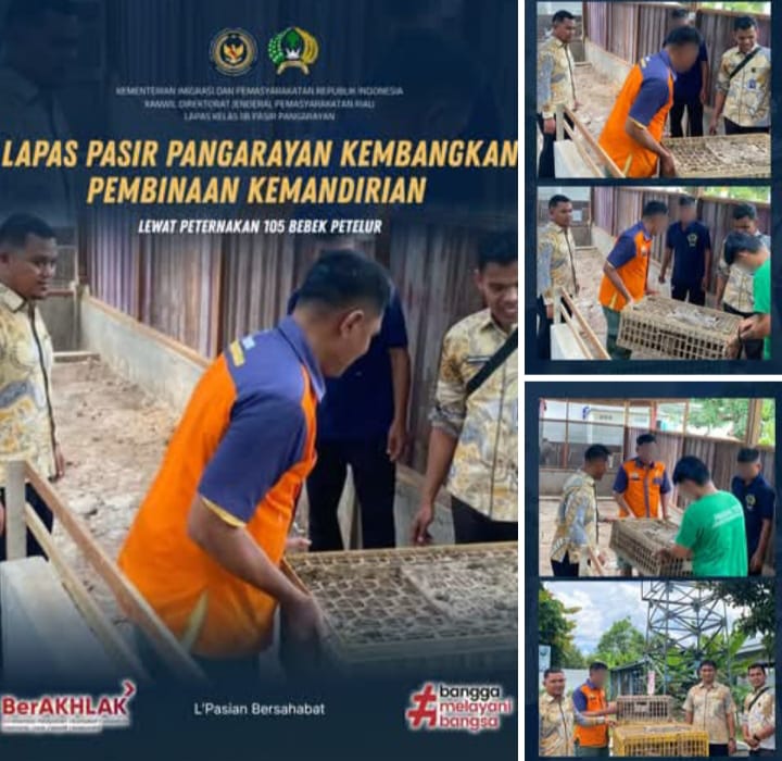 “Lapas Pasir Pangarayan Kembangkan Pembinaan Kemandirian Lewat Peternakan 105 Bebek Petelur”