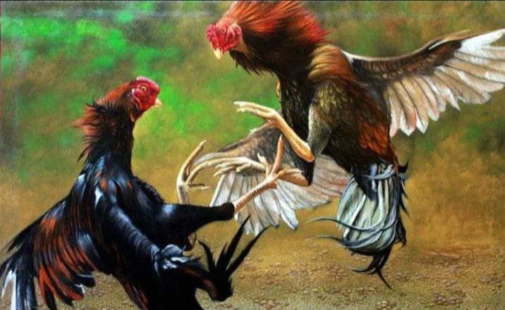 Marak Dugaan Praktik Judi Sambung Ayam di Kawasan BPJS Sedati, Sidoarjo, Awak Media dan Warga Minta Aparat Penegak Hukum Turun Tangan